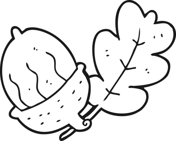 Bir insan tarafından çizilmiş siyah beyaz palamut.