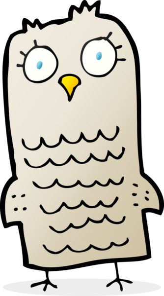 bir insan tarafından çizilmiş bir baykuş.