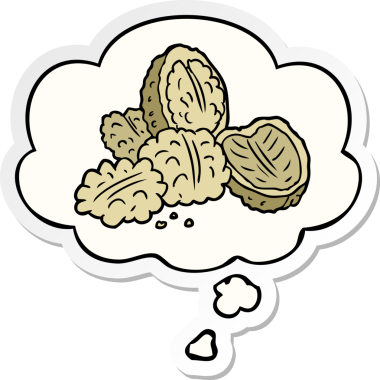 Düşünce baloncuklu cevizler insan tarafından çizilmiş bir çıkartma.