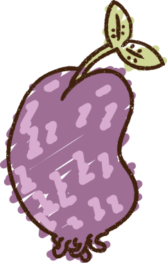 Bir insan tarafından çizilen filizlenen fasulye tebeşiri.