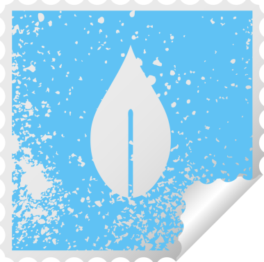 Bir insan tarafından çizilmiş bir sonbahar yaprağının kare soyma etiketi.