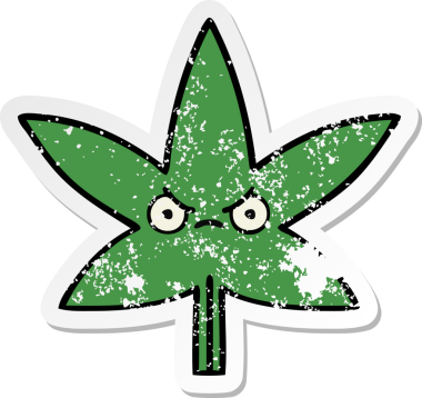 Bir insan tarafından çizilmiş marihuana yaprağının sıkıntılı çıkartması.
