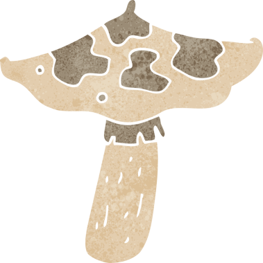 Bir insan tarafından çizilmiş mantar taburesi.