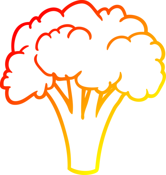 Bir insan tarafından çizilmiş bir çizgi brokolinin sıcak gradyan çizimi