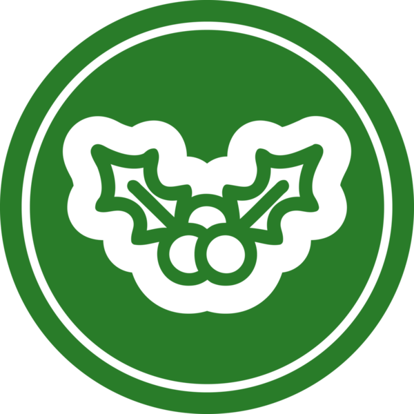 Bir insan tarafından çizilmiş Noel sembolü.