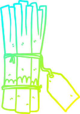 Bir insan tarafından çizilmiş organik pırasa demetinin soğuk gradyan çizimi