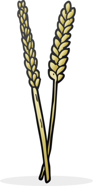 Bir insan tarafından çizilmiş serbest çizim mısır.