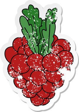 Bir insan tarafından çizilmiş bir demet üzümlü çizilmiş garip bir el çıkartması.