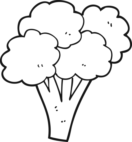 Bir insan tarafından çizilmiş siyah beyaz brokoli.