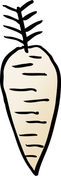 Bir insan tarafından çizilmiş karalama kökü sebzesi.
