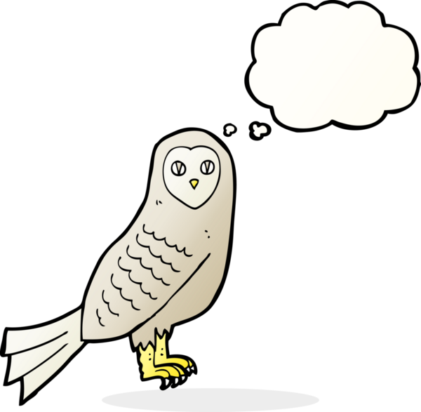 Bir insan tarafından çizilmiş düşünce baloncuklu çizgi film baykuşu