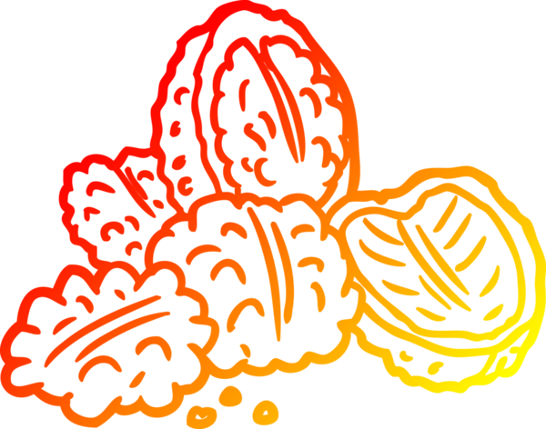 Bir insan tarafından çizilmiş ceviz çizgisi.