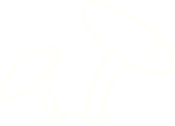 Bir insan tarafından çizilmiş mantar tebeşiri.