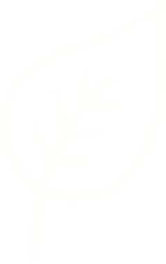 Bir insan tarafından çizilmiş Eski Yaprak Tebeşiri