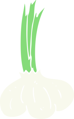 Bir insan tarafından çizilmiş sarımsağın düz renk çizimi