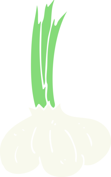 Bir insan tarafından çizilmiş sarımsağın düz renk çizimi