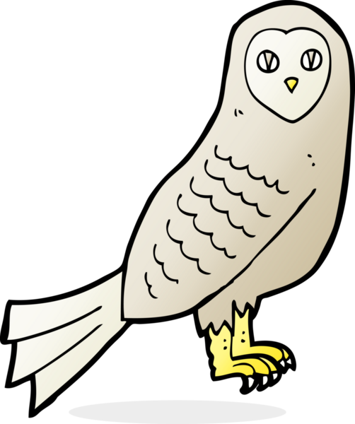 bir insan tarafından çizilmiş bir baykuş.