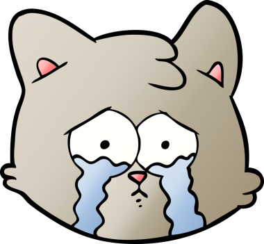 Bir insan tarafından çizilmiş karikatür kedi yüzü.