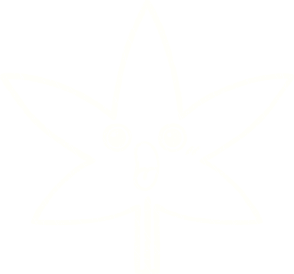 Bir insan tarafından çizilen Yaprak Tebeşiri