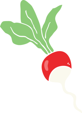 Bir insan tarafından çizilmiş turpun düz renk çizimi