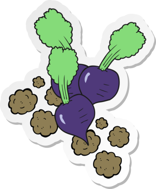 Bir insan tarafından çizilmiş pancar pancarının çıkartması.