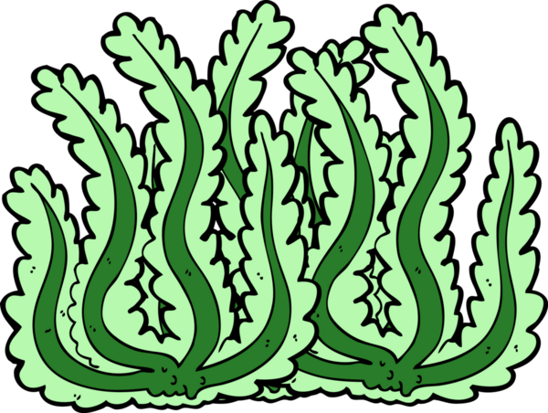 Bir insan tarafından çizilmiş karton deniz yosunu.