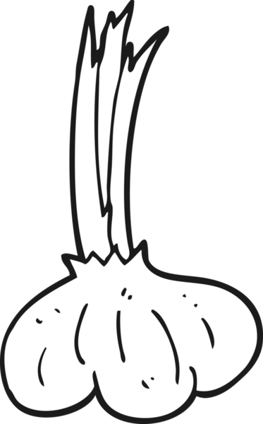 Bir insan tarafından çizilmiş siyah beyaz sarımsak.