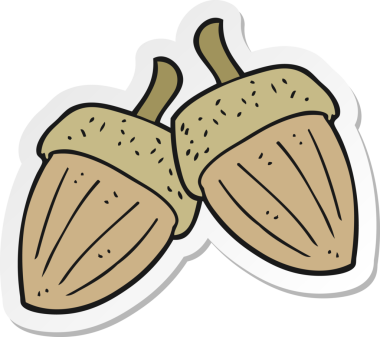 Bir insan tarafından çizilmiş meşe palamudu çıkartması.