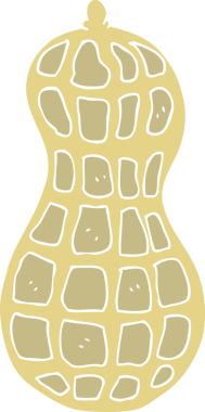 Bir insan tarafından çizilmiş yerfıstığının düz renk çizimi