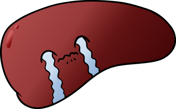 Bir insan tarafından çizilmiş karaciğer ağlaması.