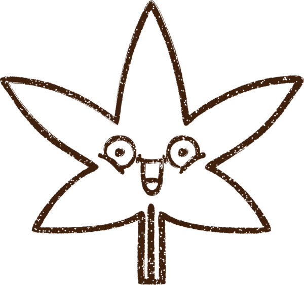 Bir insan tarafından çizilmiş marihuana yaprağı kömürü.