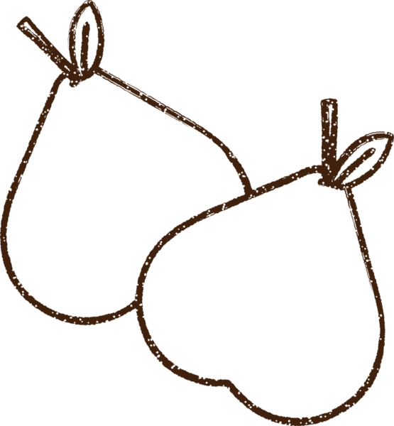 Bir insan tarafından çizilen Armut Kömürü