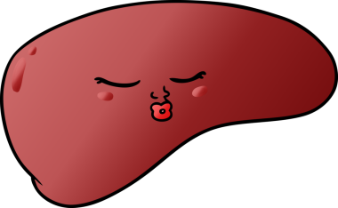 Bir insan tarafından çizilmiş karaciğer.