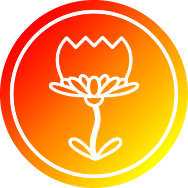 Nilüfer çiçeği dairesel simgesi, sıcak gradyan bir insan tarafından çizilmiş.