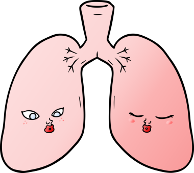 Bir insan tarafından çizilmiş karikatür ciğerleri.