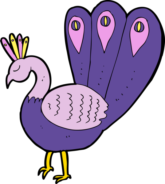 bir insan tarafından çizilmiş bir tavus kuşu.