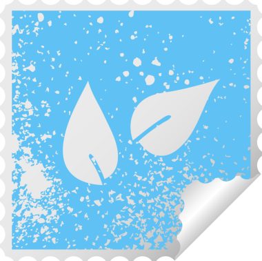 Bir insan tarafından çizilmiş yaprakların kare soyma etiketi.