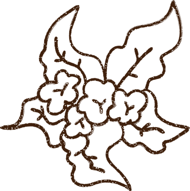 Bir insan tarafından çizilen Çiçek Bitkisi Kömür Çizimi