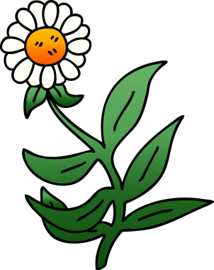 bir insan tarafından çizilmiş garip gölgeli papatya çiçeği.