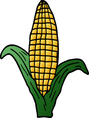 Bir insan tarafından çizilmiş sağlıklı mısır karalaması