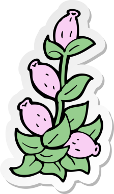 Bir insan tarafından çizilmiş karikatür çiçeğinin etiketi.