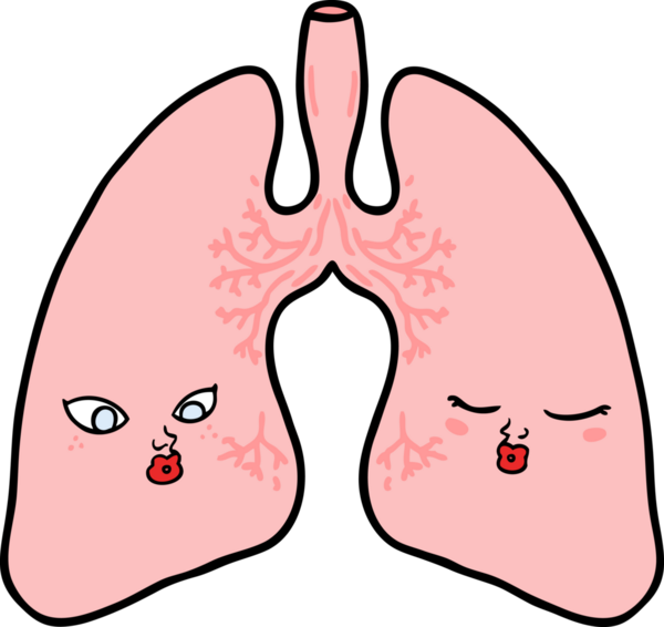 Bir insan tarafından çizilmiş karikatür ciğerleri.