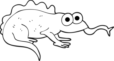 Bir insan tarafından çizilmiş siyah beyaz kertenkele çizimi.