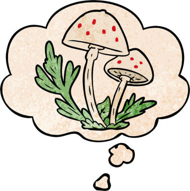 Bir insan tarafından çizilmiş grunge desenli düşünce baloncuklu mantarlar.