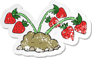 Bir insan tarafından çizilmiş karikatür çileklerinin geriletilmiş yapıştırması.