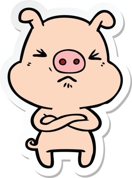 Bir insan tarafından çizilmiş kızgın bir domuzun çıkartması.