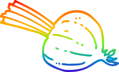 Bir insan tarafından çizilmiş taze pancarın çizimi.