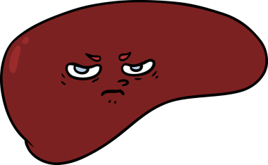 Bir insan tarafından çizilmiş karaciğer.