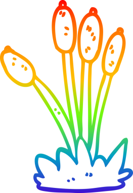 gökkuşağı gradyan çizgi çizimi bir insan tarafından çizilmiş sazlıklardan bir çizgi