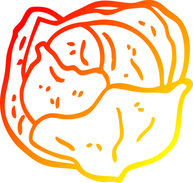 Bir insan tarafından çizilmiş bir lahananın sıcak çizgi çizimi